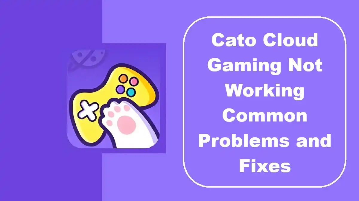 Cato Cloud Gaming Not Working Common Problems and Fixes